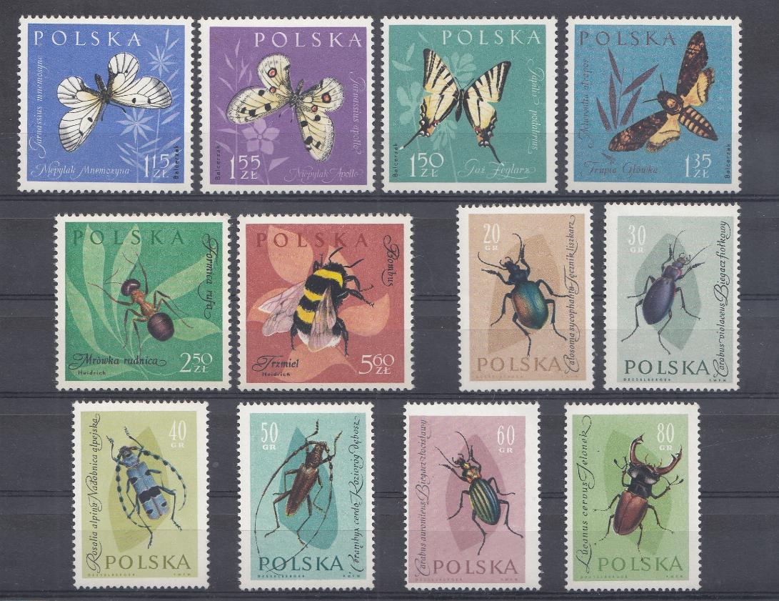 Польша 1961 год. Бабочки. Жуки. Насекомые.