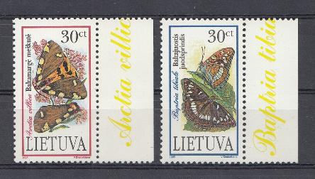Бабочки. Литва 1995 год.
