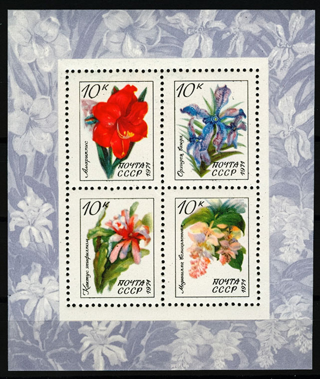 4017-4020. Блок № 76 СССР 1971 год. Тропические и субтропические растения.