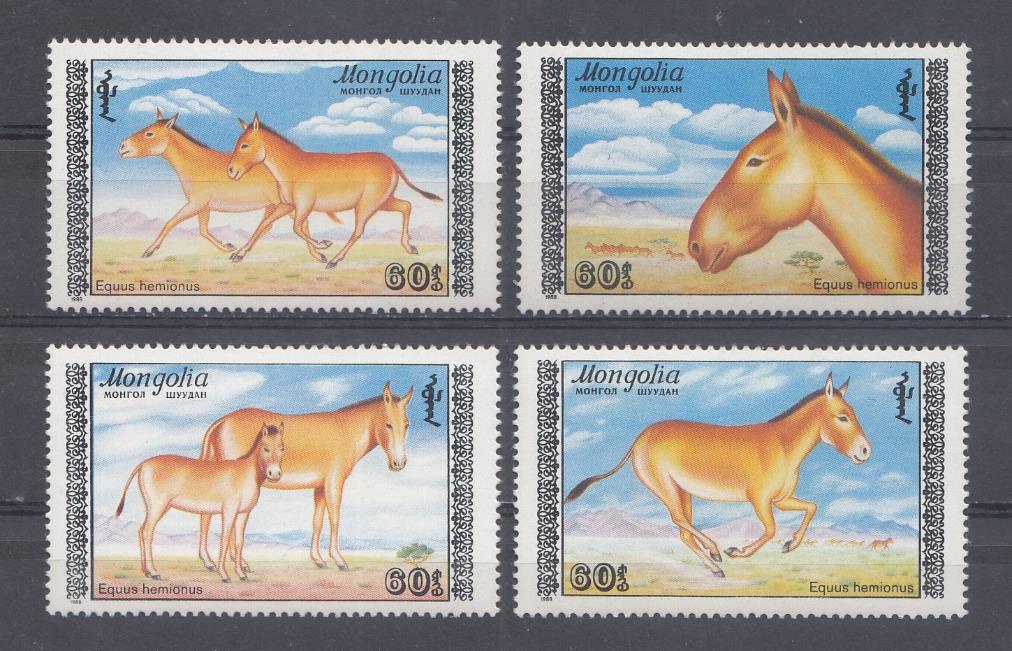 Фауна. 1988 год Монголия. Equus hemionus.