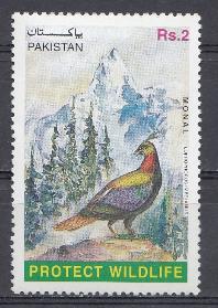 Птицы. Пакистан.