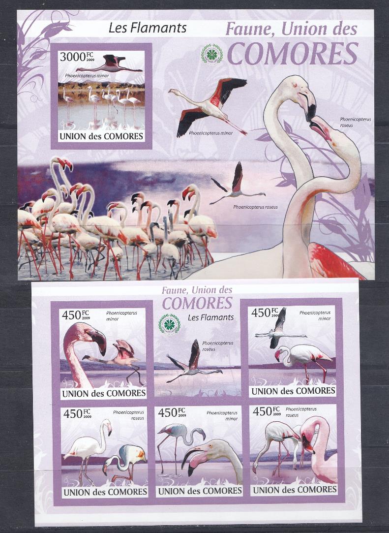 Птицы. Коморские острова 2009 год. Фламинго.