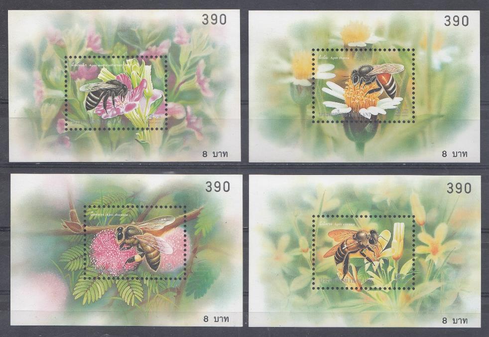 Пчёлы. Таиланд 2000 год. 