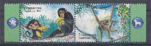 Фауна. Таджикистан 2016 год. Обезьяны. Шимпанзе и гиббон.