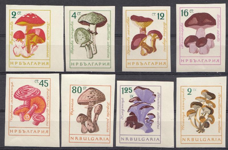 Флора. Грибы. Болгария 1961 год. Б/З 