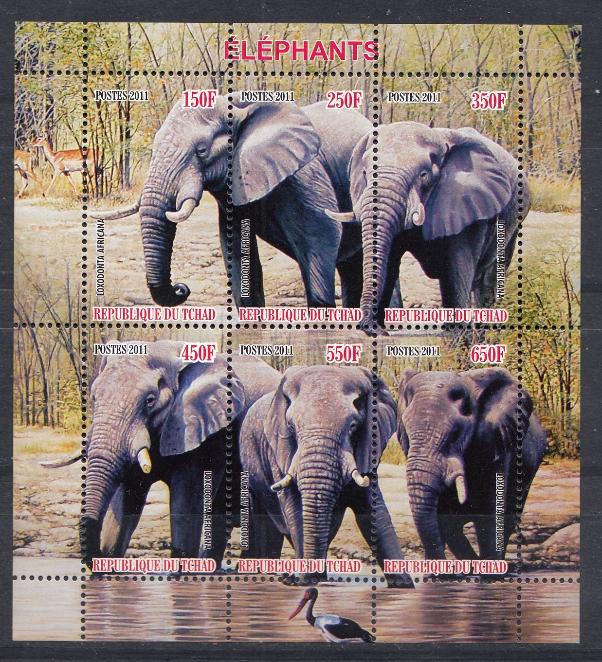 Фауна Африки. Республика Чад 2011 год. Слоны.