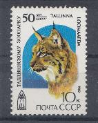 6029 СССР 1989 год. 50 лет Таллинскому зоопарку. Рысь.