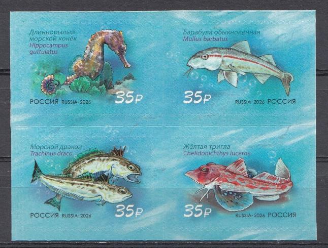 3633- 3636  Россия 2026 год.   Фауна России. Обитатели Чёрного моря. 