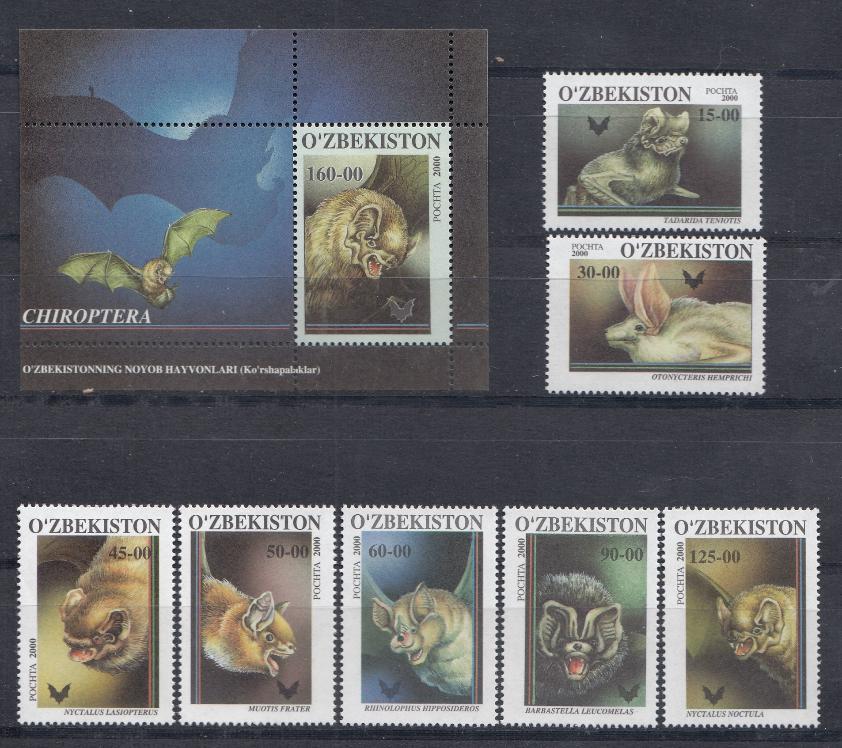 Фауна. Летучие мыши. Узбекистан 2000 год.