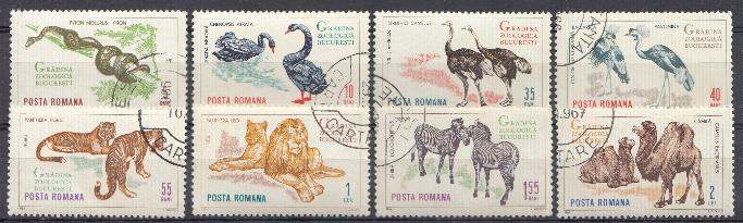 Фауна. Дикие животные. Румыния 1964 год.