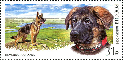 2101-2102. Россия 2016 год. Фауна России. Служебные породы собак