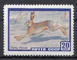 2318  СССР 1960 год. Фауна СССР. Заяц- русак.