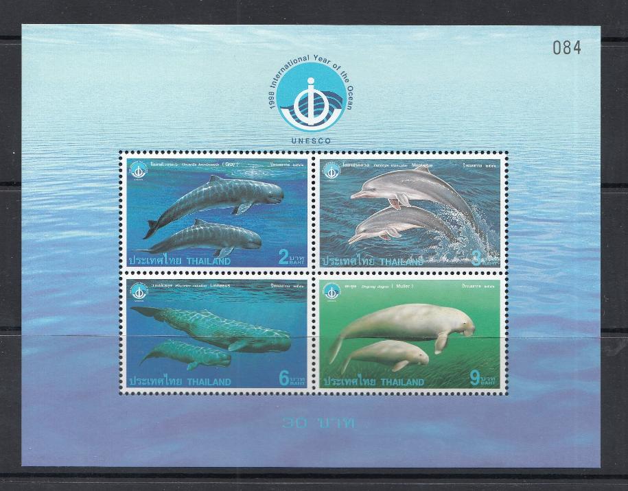 Дельфины и киты. Таиланд 1998 год. Изучение Океана. ЮНЕСКО. 