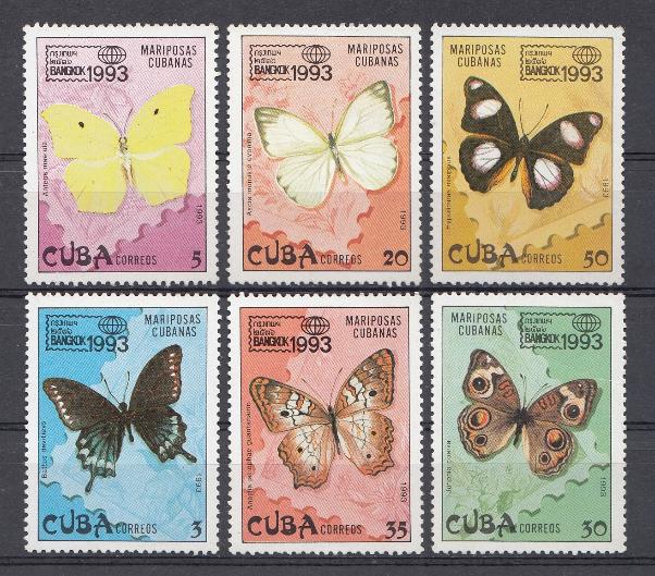 Бабочки. Куба 1993 год.