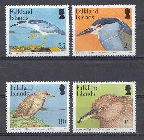 Птицы. Фолклендские острова 2006 год.