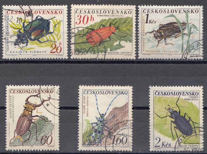 Насекомые. Жуки. Чехословакия 1962 год..