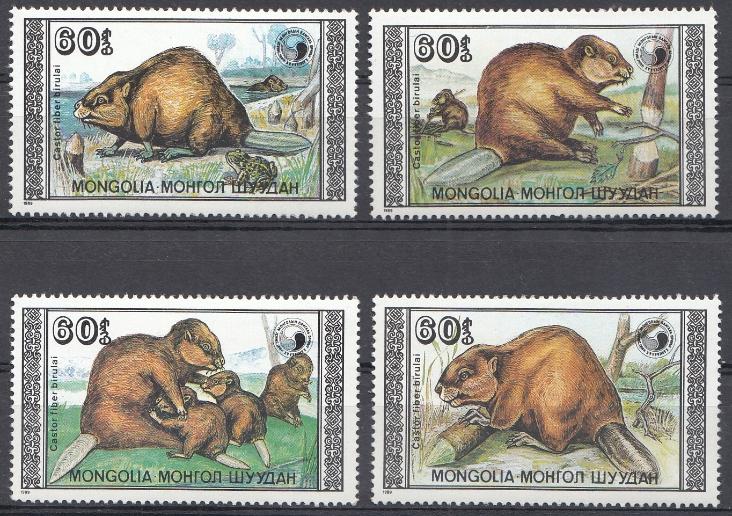 Фауна. Бобры. Монголия 1989 год.