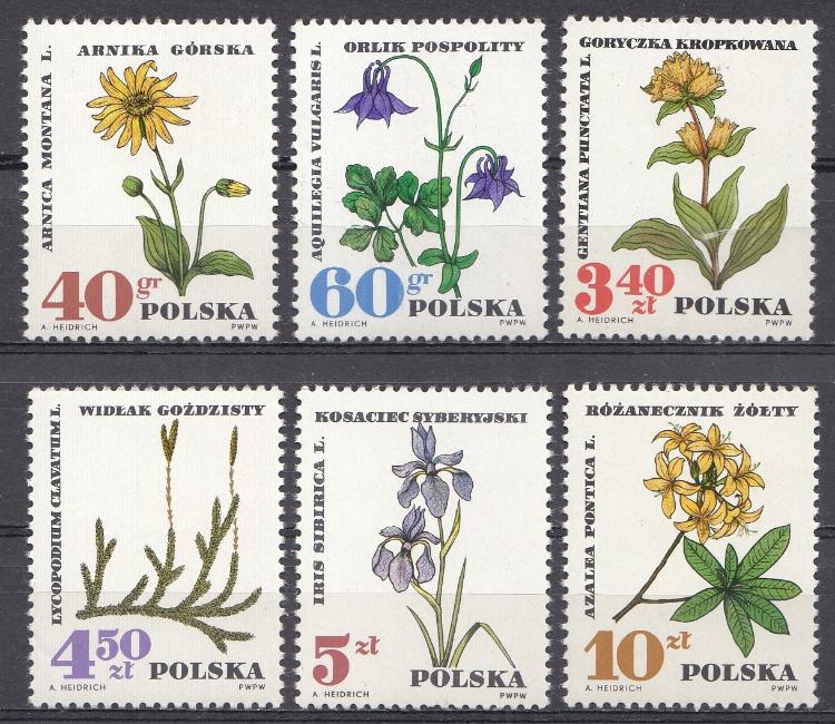 Флора. Цветы.  Польша 1967 год. 
