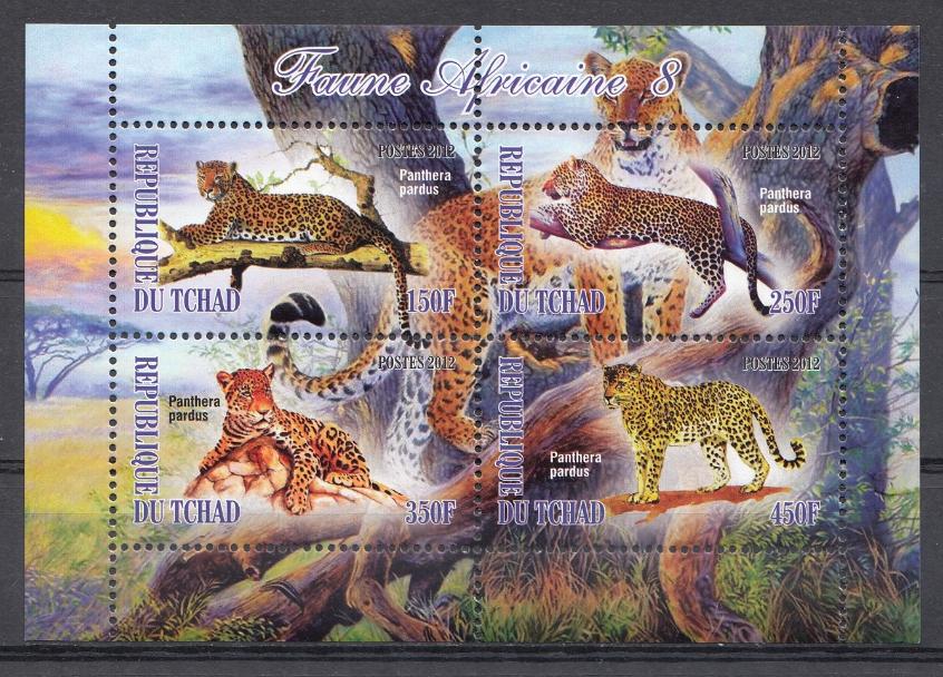 Фауна. Животный мир африканского континента. Р. Чад 2012 год.