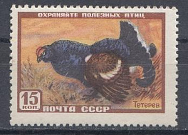 1907 СССР 1957 год. Фауна СССР. Тетерев.