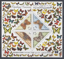 Бабочки. Тунис 2001 год. 