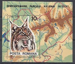 Рысь. Румыния 1985 год. Национальный парк.