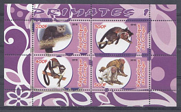 Фауна. ДР Конго 2010 год. Приматы.