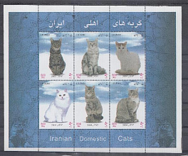 Кошки различных пород. 2004 год. Иран.