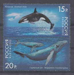 1556-1557. Россия 2012 год. Фауна России. Киты. Косатка. Горбатый кит.