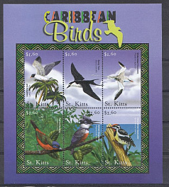 Птицы. St. Kitts.
