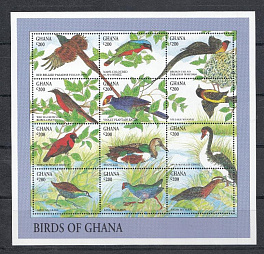 Птицы Ганы. Гана.