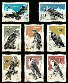 3196-3203. СССР 1965 год. Хищные птицы