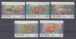 425-429  Россия 1998 год. Аквариумные рыбки.