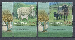 Фауна. Молдова 2014 год. Домашние животные. Овцы. 