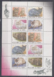 К. № МЛ (266- 270). Домашние кошки. Россия 1996 год.