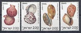 Морская фауна. Израиль 1977 год. Ракушки.