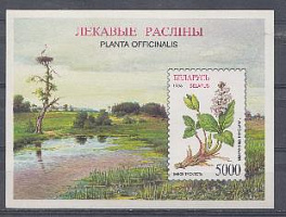 Флора. Лекарственные растения. Беларусь 1996 год.