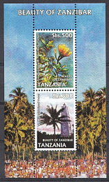 Природа. Танзания 2006 год. Флора.