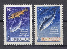 2645- 2646 СССР 1962 год. Рыбы. Сазан и лещ. Сёмга.