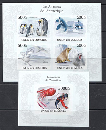 Антарктическая фауна. Союз Коморских Островов 2010 год. Пингвины. Касатки. Кальмар.. 