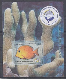 Морская фауна. Куба 2010 год. 