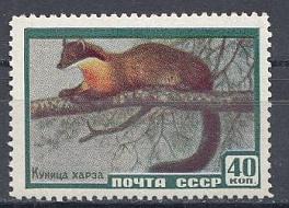 2243  СССР 1959 год. Фауна СССР. Куница харза.
