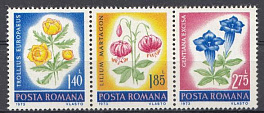 Флора. Цветы. Румыния 1973 год. Сцепка.
