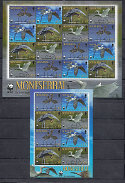 Птицы. Montserrat.Подветренные острова. 2010 год. Краснокнижные цапли. WWF.