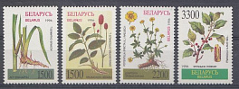 Флора. Беларусь 1996 год. Полевые цветы.