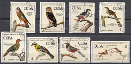 Птицы. Куба 1971 год. 1