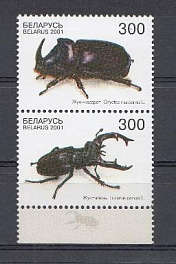 Жуки. Беларусь 2001 год.