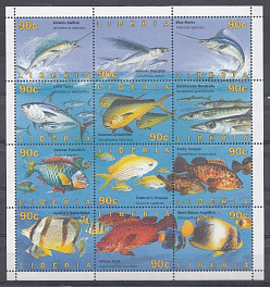 Морская фауна. Либерия. Различные породы рыб.