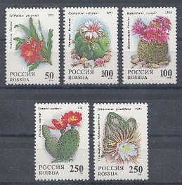  144-148. Россия 1994 год. Комнатные растения. Кактусы.