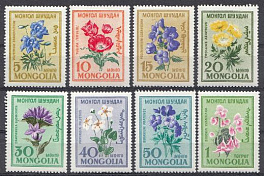 Флора. Монголия 1960 год. Полевые цветы.